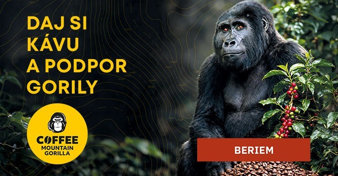 Coffee Mountain Gorilla